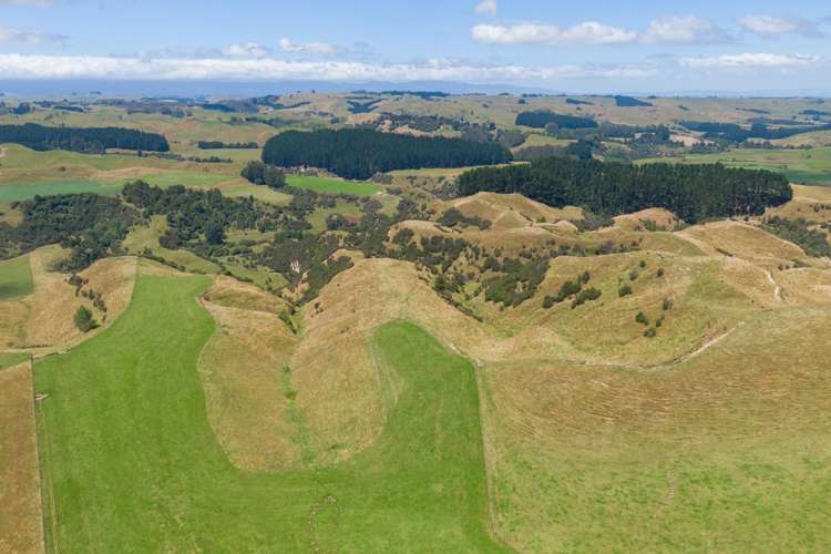 1618 Waituna Tapuae Waituna West_6