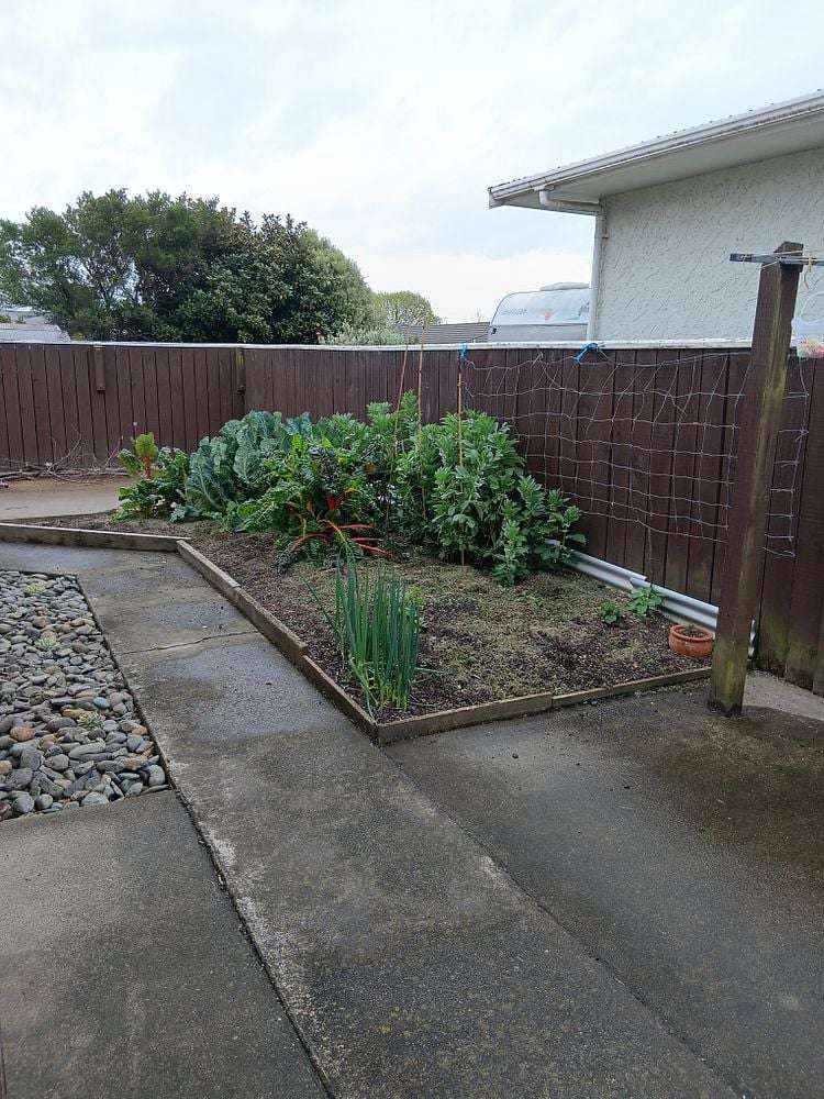 23 King Street Richmond_6