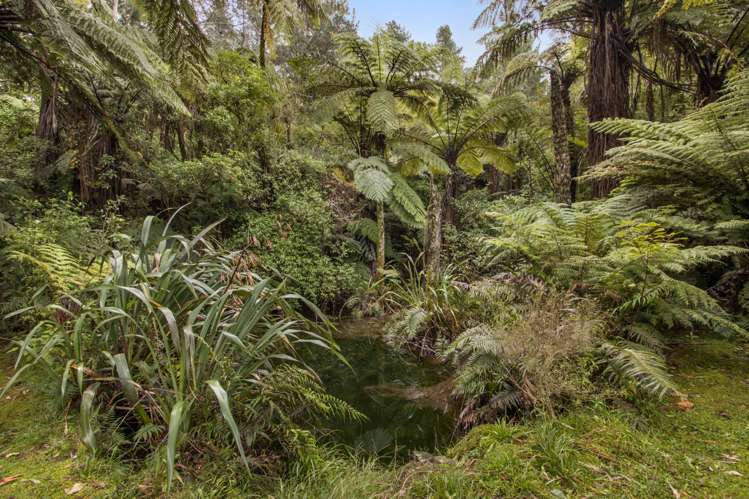 175 Bulltown Road Waihi_21