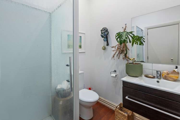 5 Tonks Grove Te Aro_6