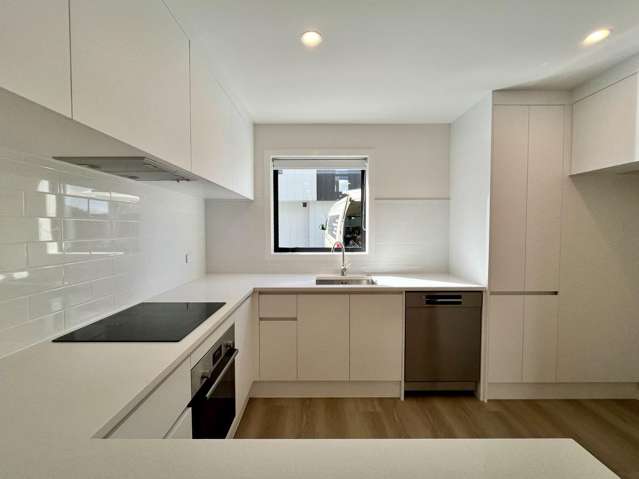 6/253 New Windsor Road 1733_1
