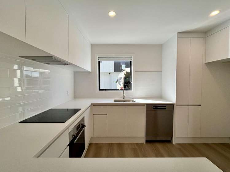 6/253 New Windsor Road 1733_1