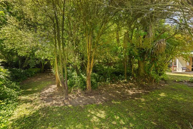 29 Forbes Street Sydenham_21