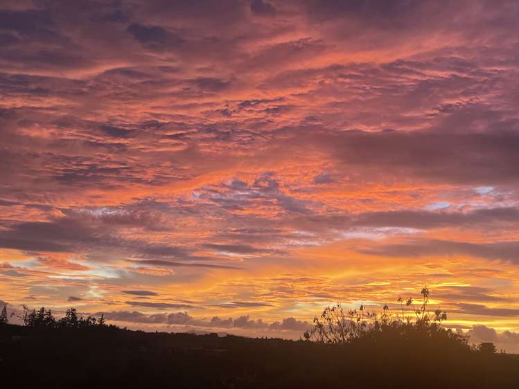 244 Lindemann Road Tahawai_54