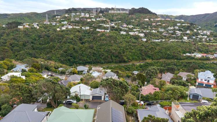 29 Rose Street Wadestown_16