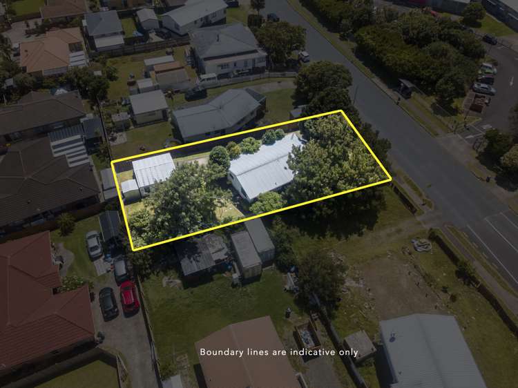 231 Finlayson Avenue Clendon Park_7