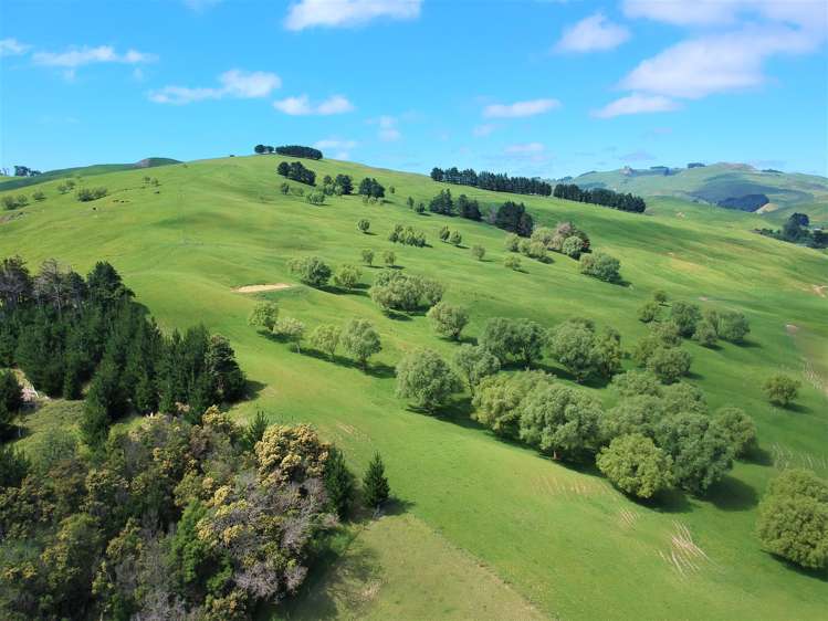 53 Jones Road Porangahau_8