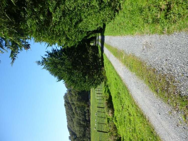 139 Taylorville Road Coal Creek_15