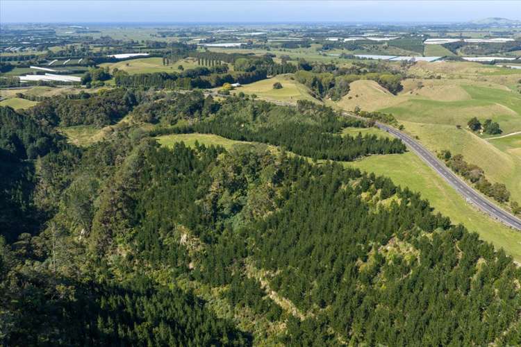 720 State Highway 33 Paengaroa_25