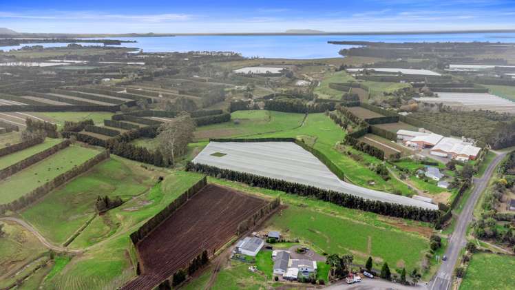 11 Matahui Road Aongatete_20