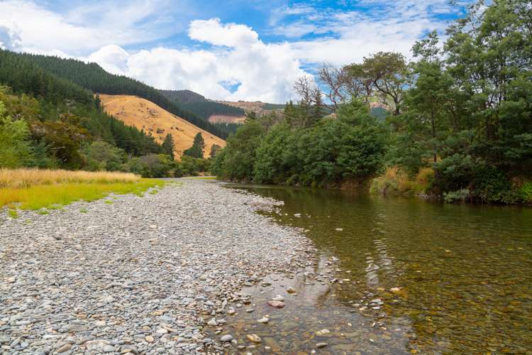 264 Wakamarina Road Havelock_20