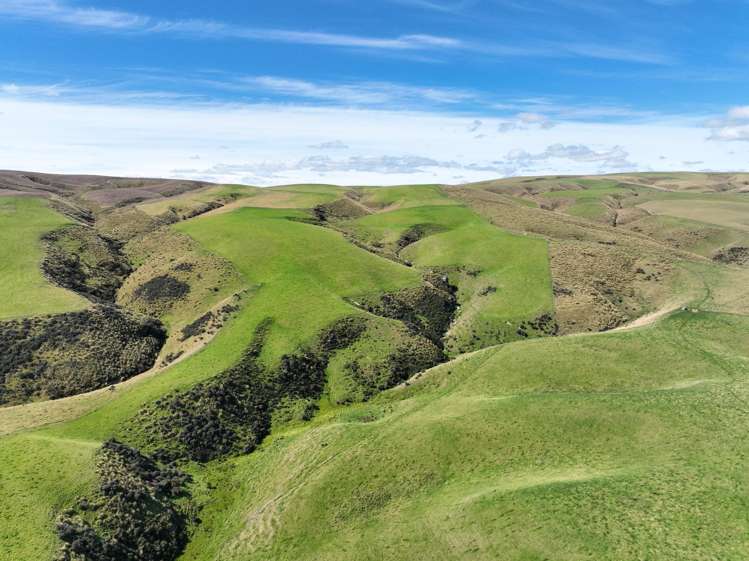 665-901 Tima Burn Road Teviot_27