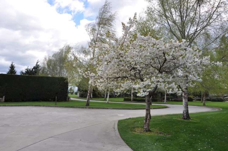 62 Rutland Street Riversdale_6