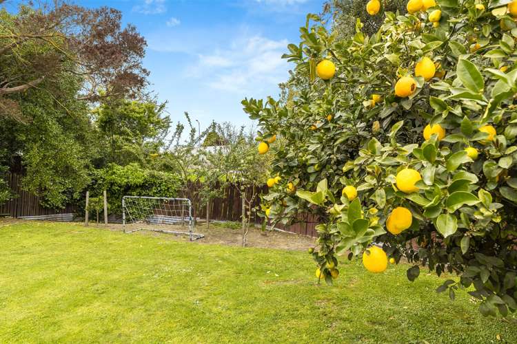 8 Owen Place Springlands_20