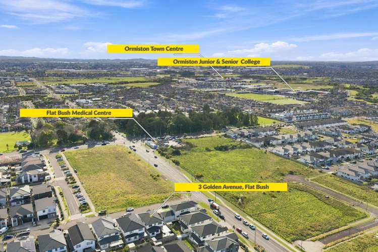 3 Golden Avenue Flat Bush_9