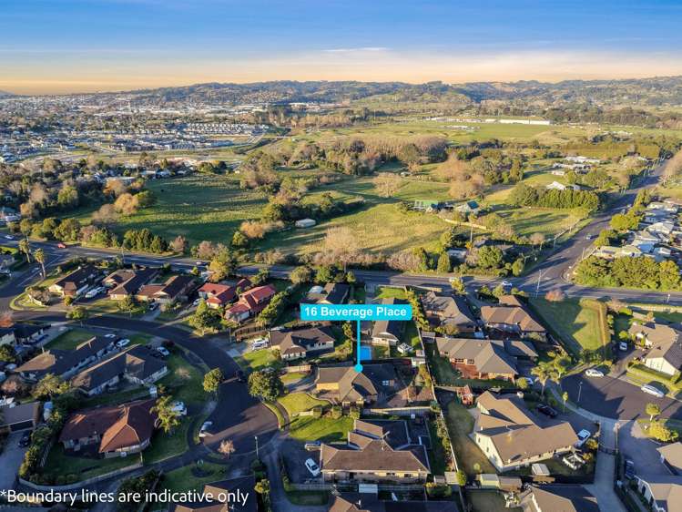 16 Beverage Place Rosehill_20