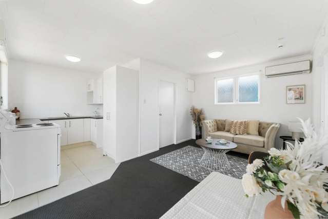 32 Hardington Street Onehunga_3