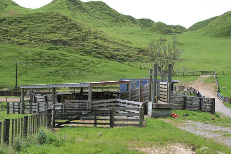 1756 Rawhitiroa Road Eltham_20