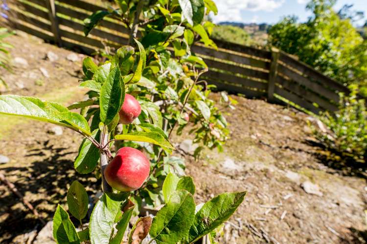 27 Prosser Street Green Island_14