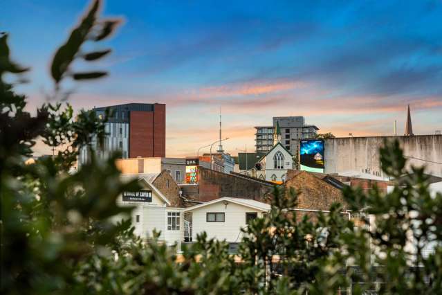 16 Harold Street Mount Eden_1