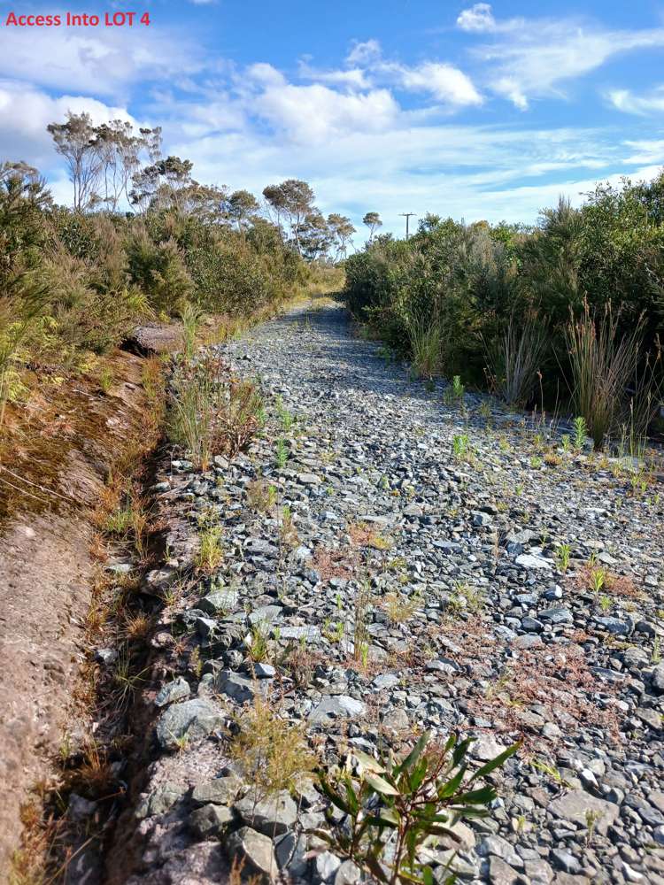 1/2 Tahanga Road Lake Ohia_22