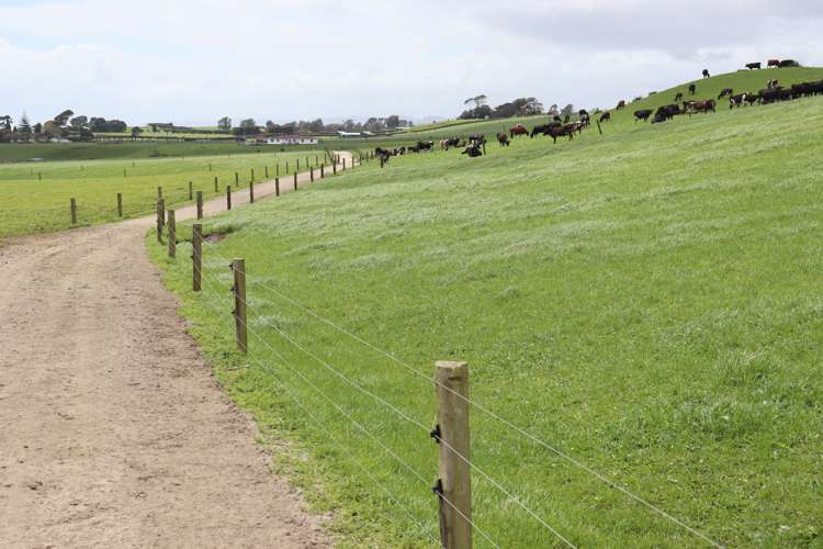 627 Inland North Road Onaero_6