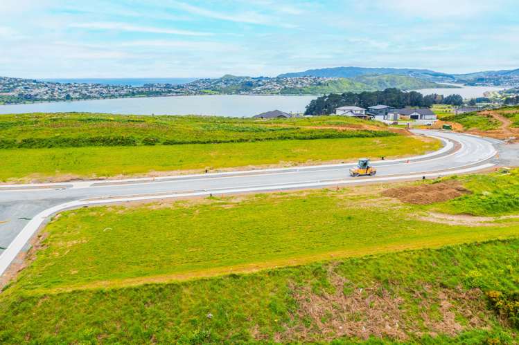 203 John Burke Drive Aotea_9