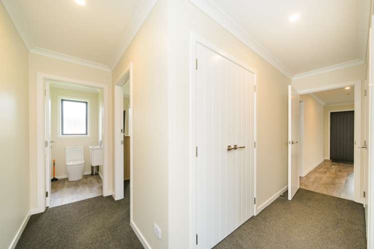 47 Wilson Street Bulls_7