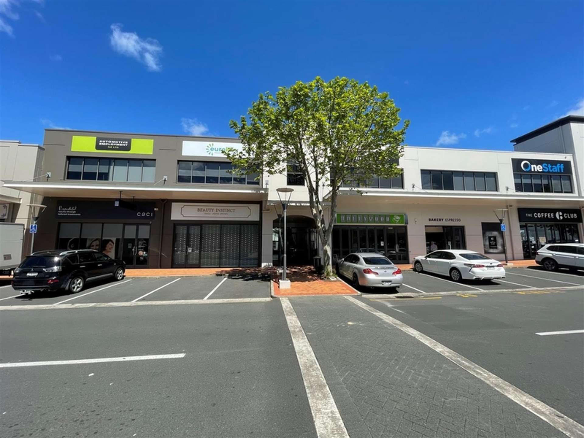 123 Ormiston Road Flat Bush_0