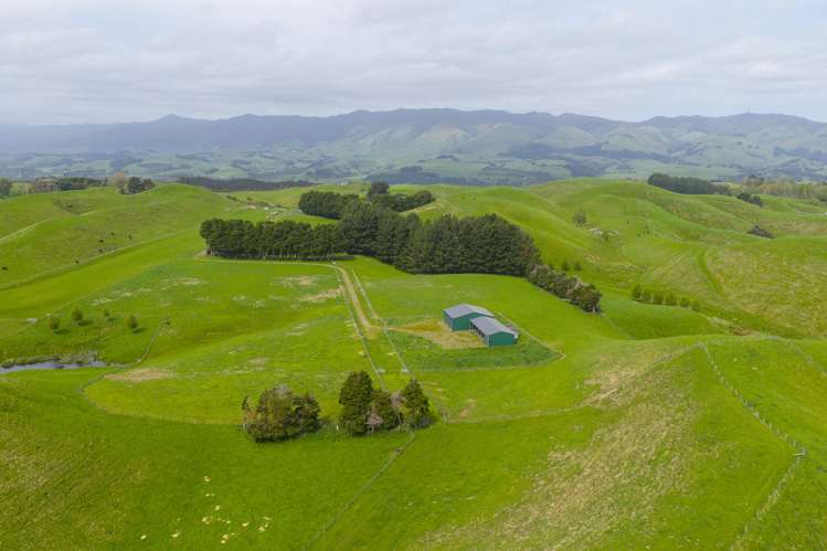 137 Zigzag Road Pohangina Valley_17