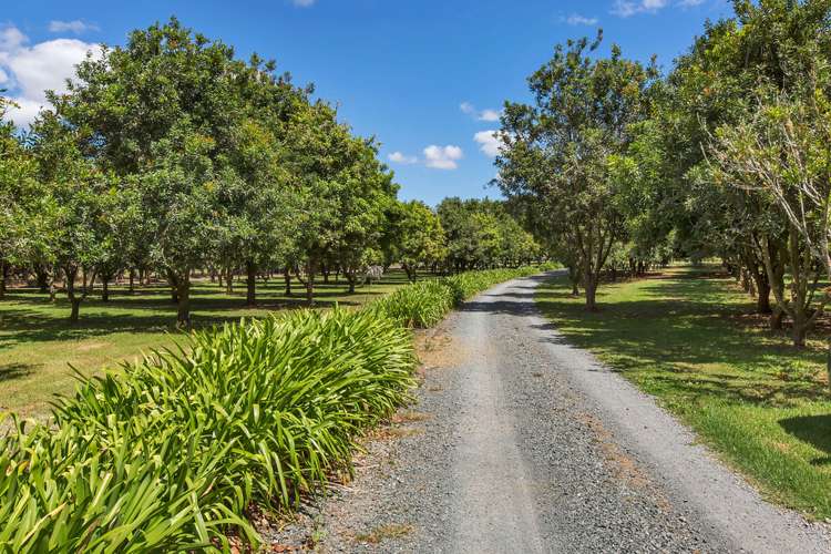 260 Ngunguru Road Glenbervie_19