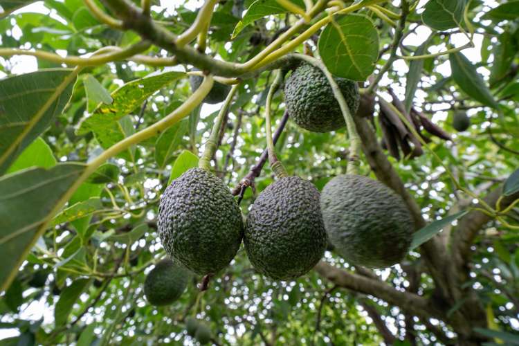 11A Hall Street Cambridge_12