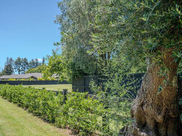 Lot 1/153a Kerikeri Inlet Road Kerikeri_17