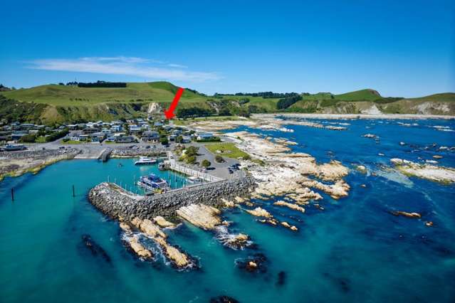 1 Kaka Road Kaikoura_1