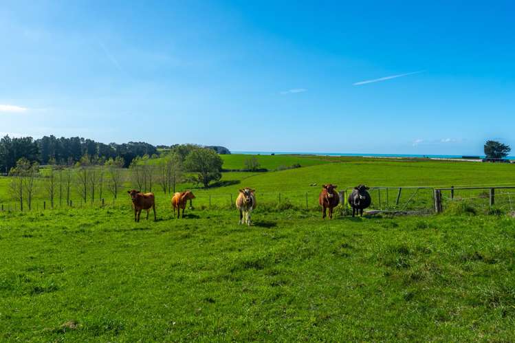 47 Craigie Road Timaru_19