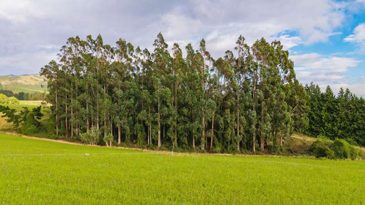 Lot 2 Brownleas Road Waimate_4