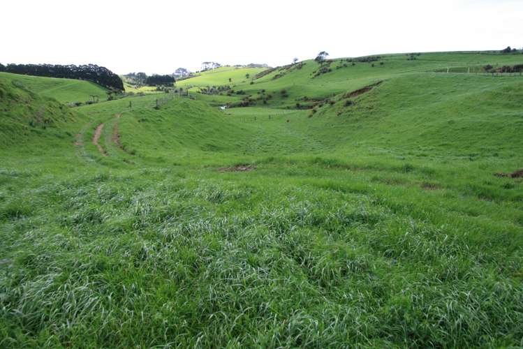 Lt2/310 Henwood Road Bell Block_22