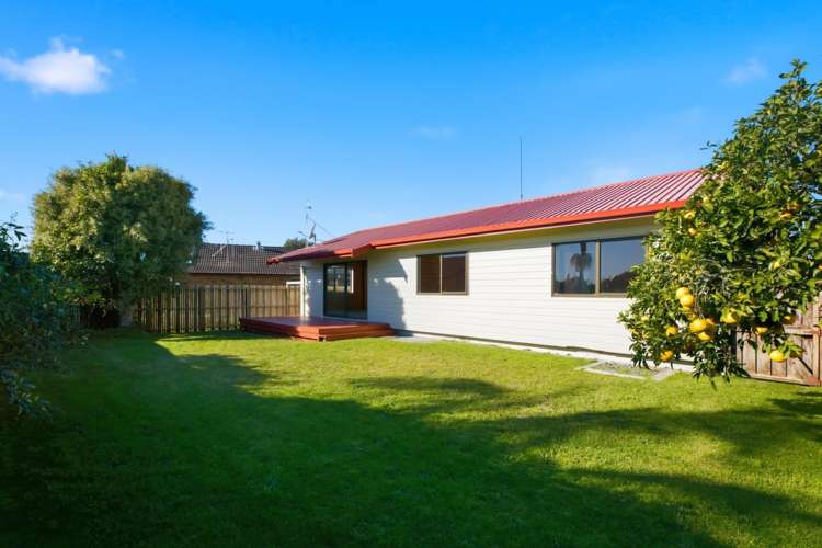 13B Sunrise Avenue Mt Maunganui_13