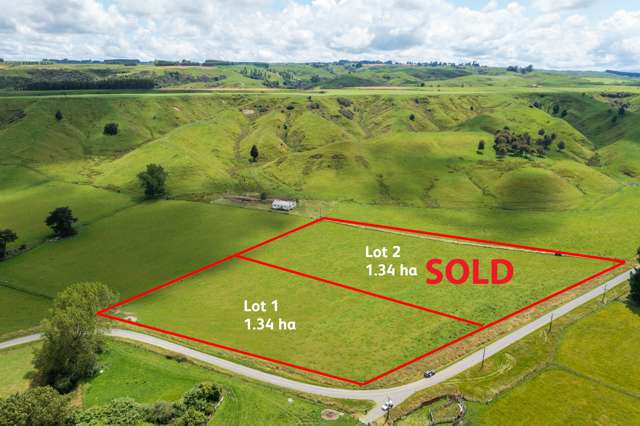 Lot 1 Beaconsfield Valley Road Waituna West_2