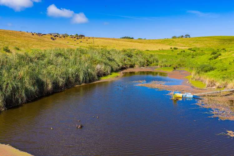 271 Pataua South Road Pataua South_20