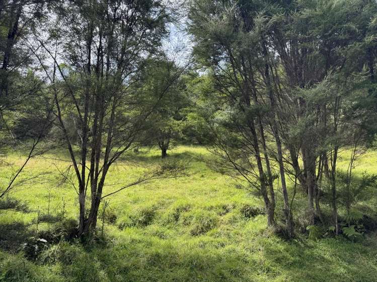 Rakutangi Road Ruatiti_14