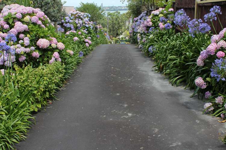 76 Onewa Road Northcote Point_35