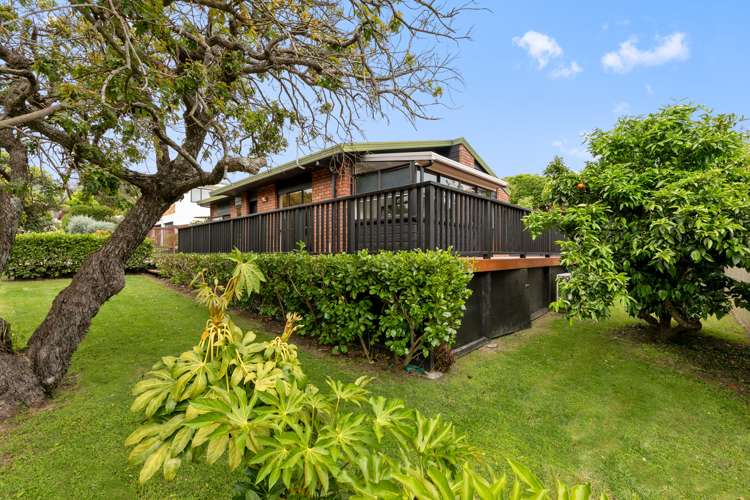 17b Rutherford Street Otumoetai_15