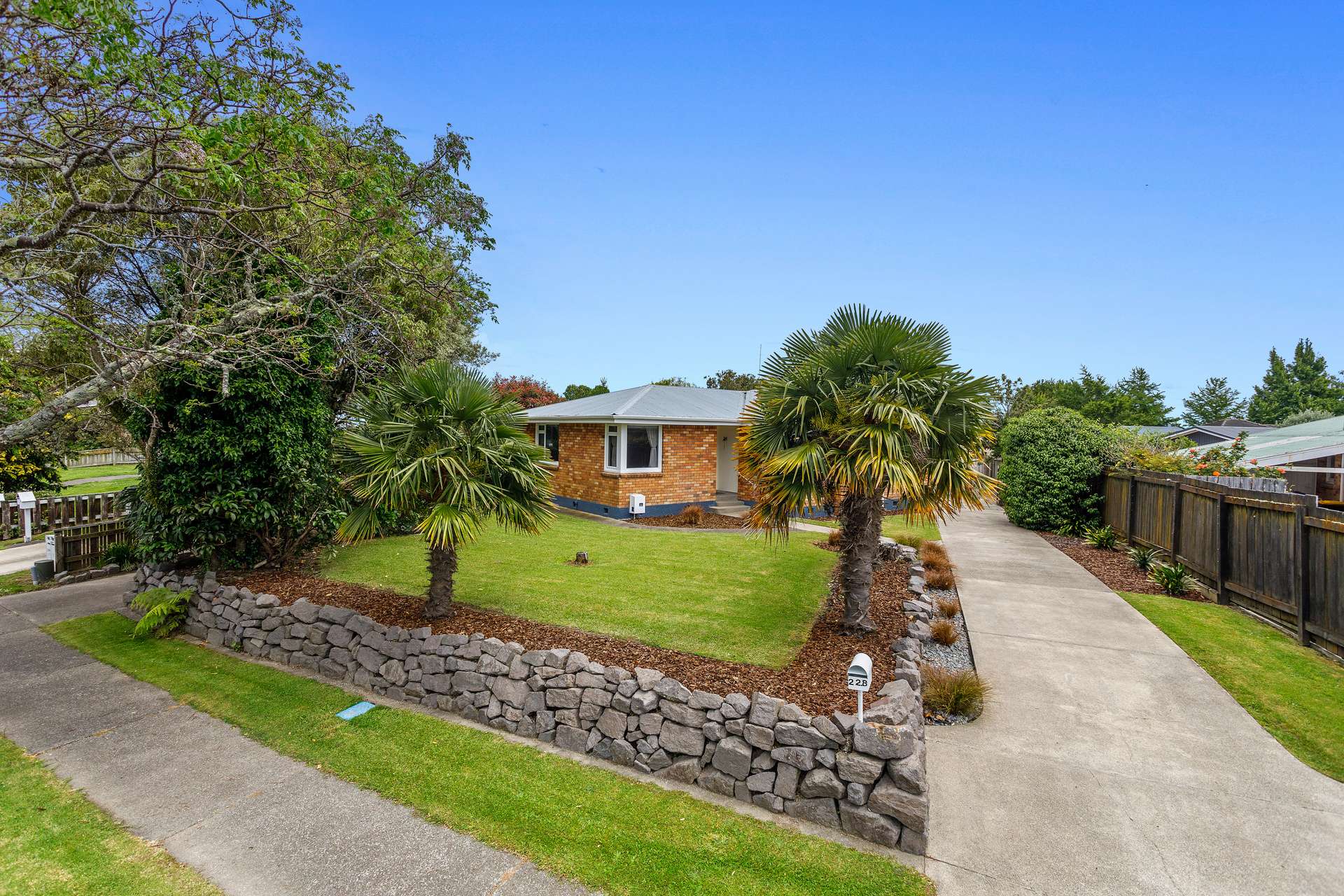 228 King Street Whakatane_0