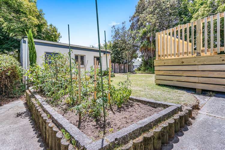 83 Peacockes Road Fitzroy_12