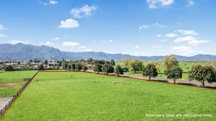 11a Lewis Street Waihou_3