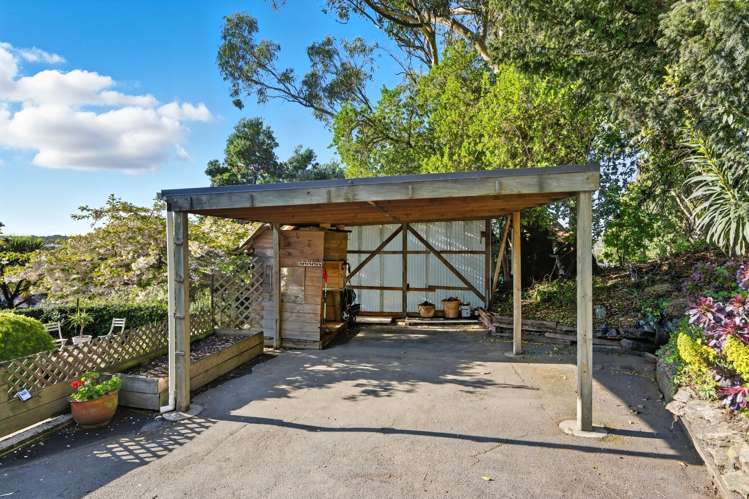 112 Forbury Road Saint Clair_22