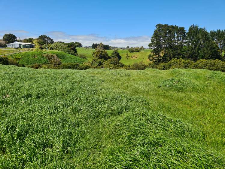 629 South Road Omata_8