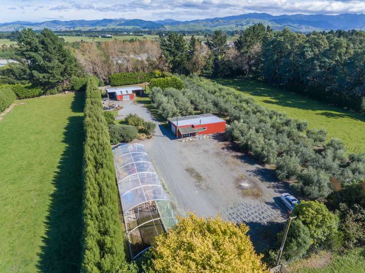 209 Upper Manaia Road Upper Plain_17