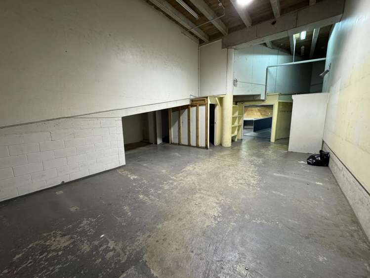 181 Vivian Street Te Aro_7